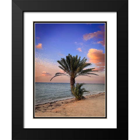 Palm beach Black Modern Wood Framed Art Print with Double Matting by G Alfidi, Saleem