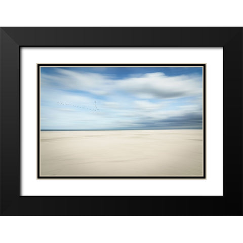 Birds at the seaside Black Modern Wood Framed Art Print with Double Matting by Reichelt, Dieter