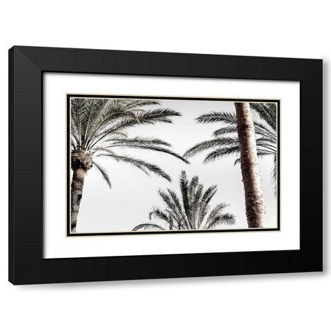 Palm 007 Black Modern Wood Framed Art Print with Double Matting by Artographie Studio