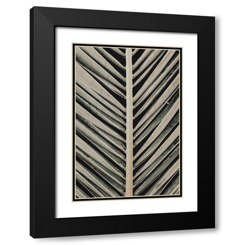 Palmblad 005 Black Modern Wood Framed Art Print with Double Matting by Artographie Studio
