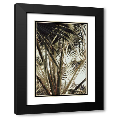 Palmblad 006 Black Modern Wood Framed Art Print with Double Matting by Artographie Studio