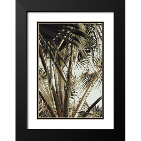 Palmblad 006 Black Modern Wood Framed Art Print with Double Matting by Artographie Studio
