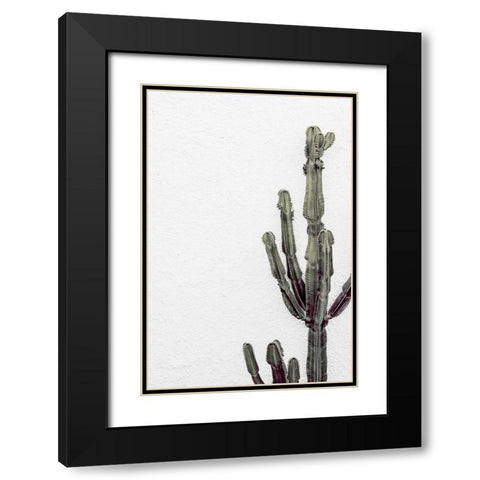 Cactus 003 Black Modern Wood Framed Art Print with Double Matting by Artographie Studio