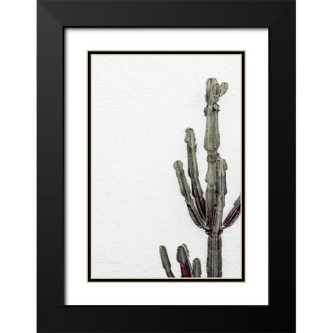 Cactus 003 Black Modern Wood Framed Art Print with Double Matting by Artographie Studio