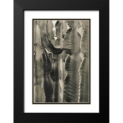 Cactus 002 Black Modern Wood Framed Art Print with Double Matting by Artographie Studio
