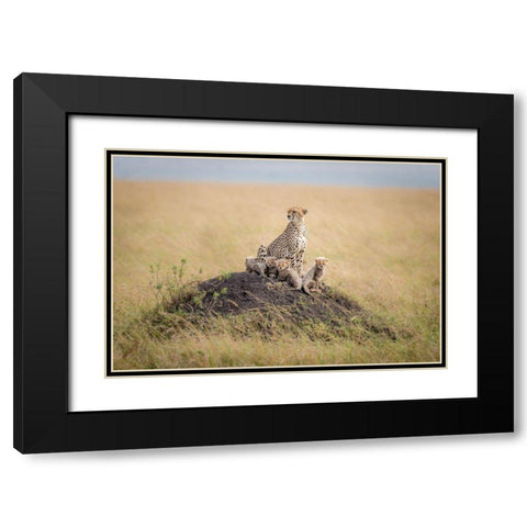 Regal Protector Black Modern Wood Framed Art Print with Double Matting by Taylor, Ted