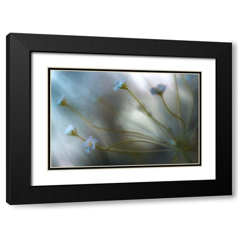 Jasmine Black Modern Wood Framed Art Print with Double Matting by Disher, Mandy