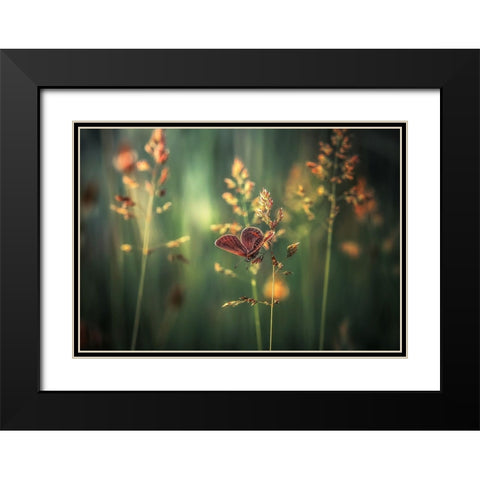 Last Light Black Modern Wood Framed Art Print with Double Matting by Vinogradof, Florentin