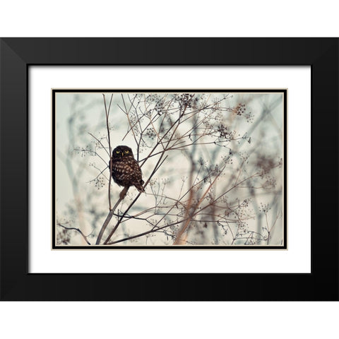 Look at Me Black Modern Wood Framed Art Print with Double Matting by Avramescu, Emilian