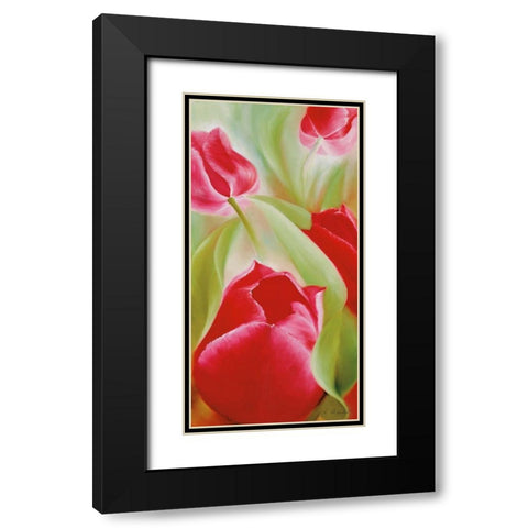 Tulpen II Black Modern Wood Framed Art Print with Double Matting by Schmucker, Annette
