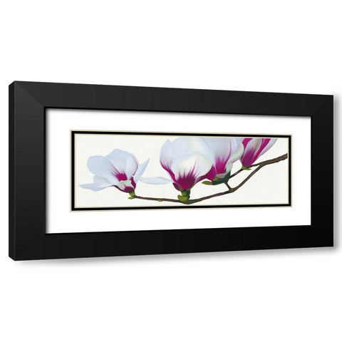 Magnolia Black Modern Wood Framed Art Print with Double Matting by Andrew, Stephanie