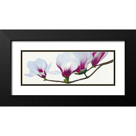 Magnolia Black Modern Wood Framed Art Print with Double Matting by Andrew, Stephanie