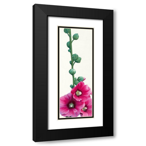 Pink Hollyhock III Black Modern Wood Framed Art Print with Double Matting by Andrew, Stephanie