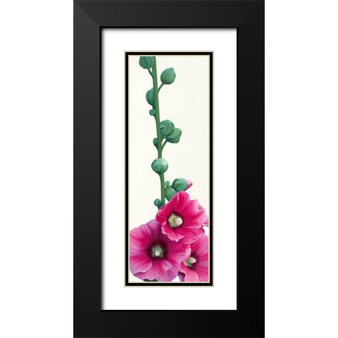 Pink Hollyhock III Black Modern Wood Framed Art Print with Double Matting by Andrew, Stephanie