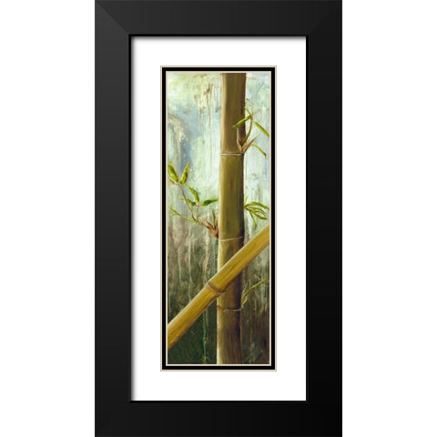 Rainforest I Black Modern Wood Framed Art Print with Double Matting by Haggenmacher, Maritta