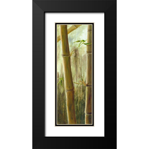 Rainforest III Black Modern Wood Framed Art Print with Double Matting by Haggenmacher, Maritta