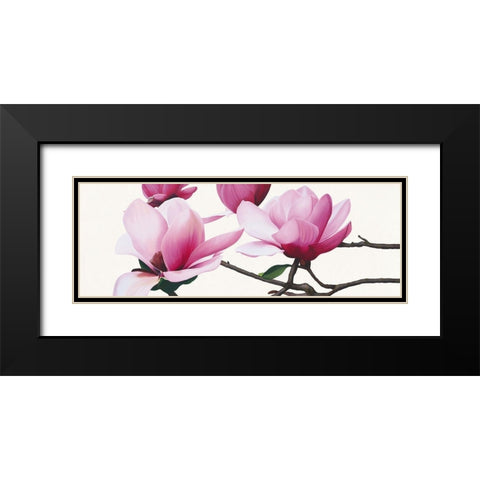 Apollo I (Magnolia) Black Modern Wood Framed Art Print with Double Matting by Andrew, Stephanie