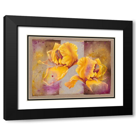 Iris Black Modern Wood Framed Art Print with Double Matting by Cadoret, Virginie