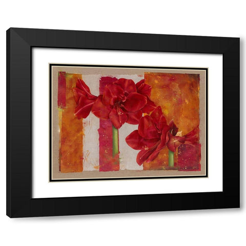 Amaryllis Black Modern Wood Framed Art Print with Double Matting by Cadoret, Virginie