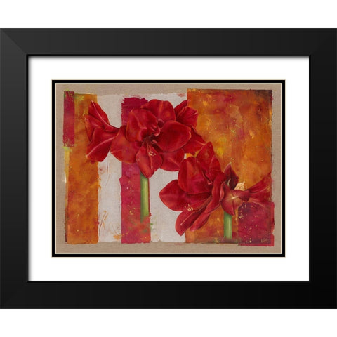 Amaryllis Black Modern Wood Framed Art Print with Double Matting by Cadoret, Virginie