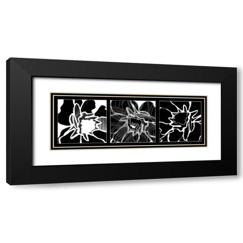 Web flower Black Modern Wood Framed Art Print with Double Matting by Talva Design