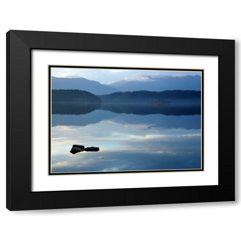 Nature Art Color IV Black Modern Wood Framed Art Print with Double Matting by Steger, Uwe