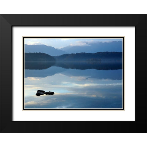 Nature Art Color IV Black Modern Wood Framed Art Print with Double Matting by Steger, Uwe