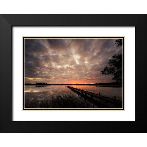 Nature Art Color IX Black Modern Wood Framed Art Print with Double Matting by Steger, Uwe