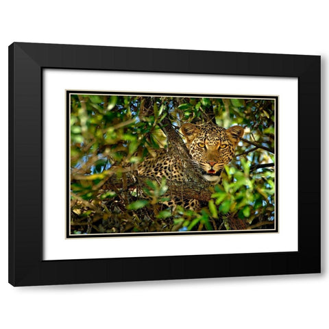 Leopard Camouflage Black Modern Wood Framed Art Print with Double Matting by Ortega, Xavier