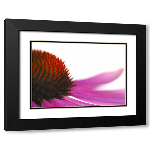 Leftside Black Modern Wood Framed Art Print with Double Matting by Steger, Uwe