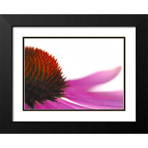Leftside Black Modern Wood Framed Art Print with Double Matting by Steger, Uwe