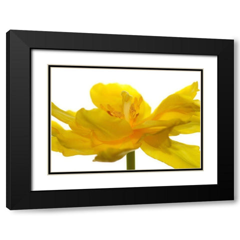 Frontside Black Modern Wood Framed Art Print with Double Matting by Steger, Uwe