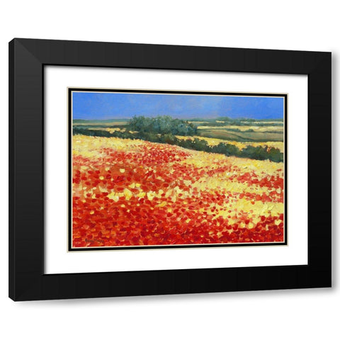Harvest Poppies Black Modern Wood Framed Art Print with Double Matting by Mayes, Hilary