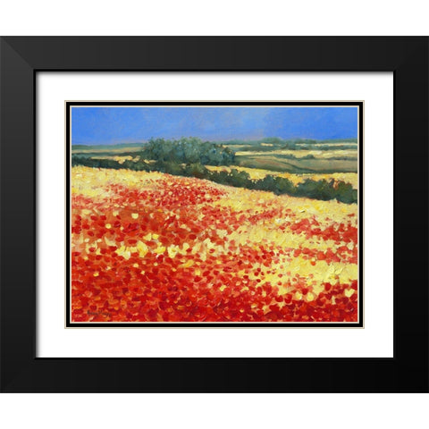 Harvest Poppies Black Modern Wood Framed Art Print with Double Matting by Mayes, Hilary