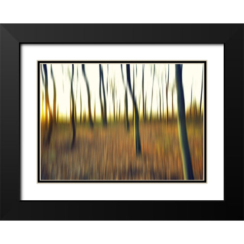Abstrahierte Welten II Black Modern Wood Framed Art Print with Double Matting by Suschaa