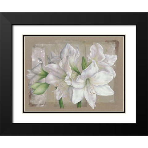 Amaryllis Blanc Black Modern Wood Framed Art Print with Double Matting by Cadoret, Virginie