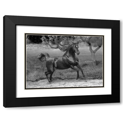 Feeling Free Black Modern Wood Framed Art Print with Double Matting by Llovet, Jorge