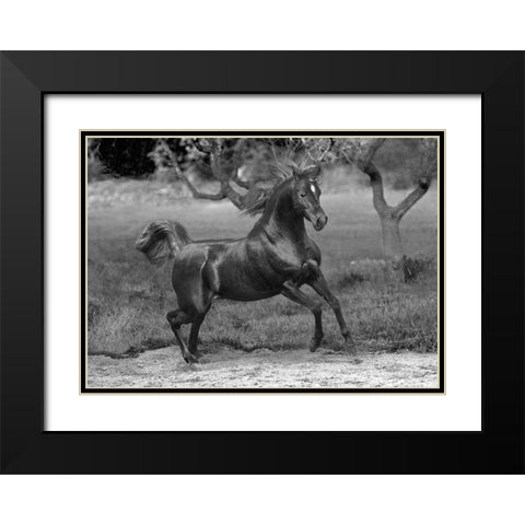 Feeling Free Black Modern Wood Framed Art Print with Double Matting by Llovet, Jorge
