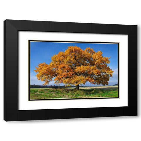 Golden Oak Black Modern Wood Framed Art Print with Double Matting by Strand, Hans