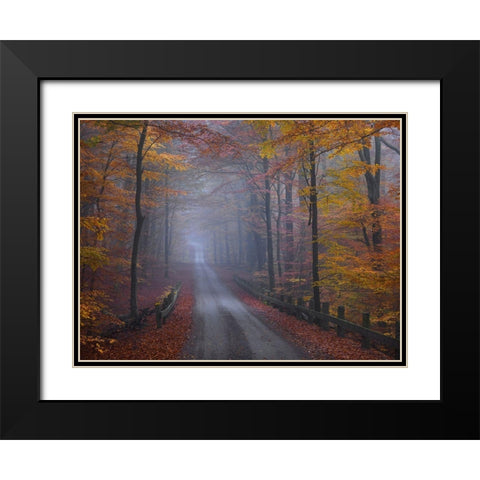 Misty Road Black Modern Wood Framed Art Print with Double Matting by Strand, Hans