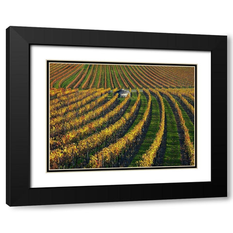 Veineyards of hautes cotes Burgundy Black Modern Wood Framed Art Print with Double Matting by Strand, Hans