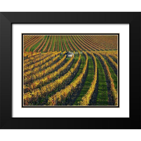 Veineyards of hautes cotes Burgundy Black Modern Wood Framed Art Print with Double Matting by Strand, Hans