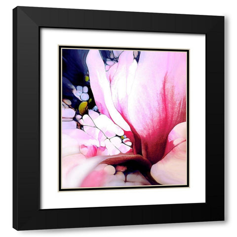 Magnolie Black Modern Wood Framed Art Print with Double Matting by Schmidt, Renate M.