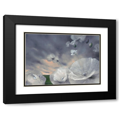 Fluchtig Black Modern Wood Framed Art Print with Double Matting by Schmucker, Annette
