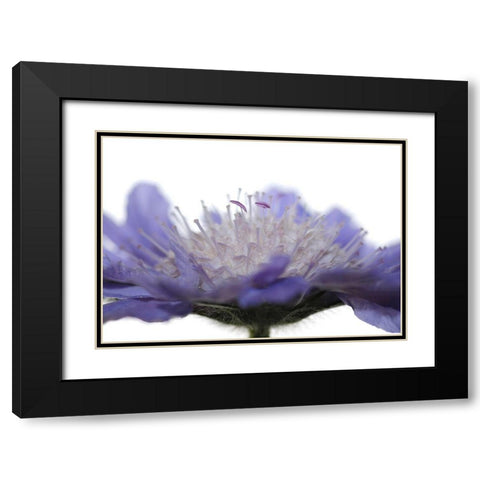 Inside Black Modern Wood Framed Art Print with Double Matting by Steger, Uwe