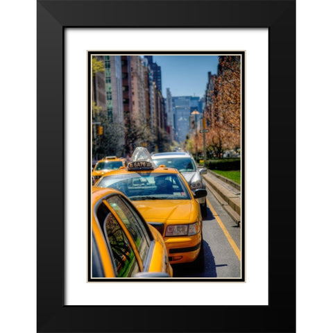 Spring Colors Black Modern Wood Framed Art Print with Double Matting by Terrible, Aurelien