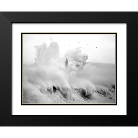 Birds in the Storm Black Modern Wood Framed Art Print with Double Matting by Cano, Marina