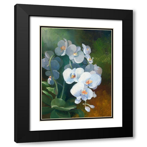 Phalaenopsis blanc Black Modern Wood Framed Art Print with Double Matting by Vernageau, Sylvie