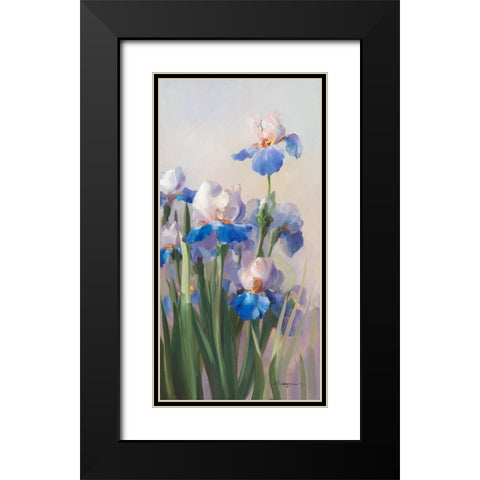 Iris French Cancan Black Modern Wood Framed Art Print with Double Matting by Vernageau, Sylvie