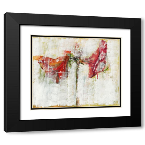 Amaryllies Black Modern Wood Framed Art Print with Double Matting by Dreyer, Ingeborg